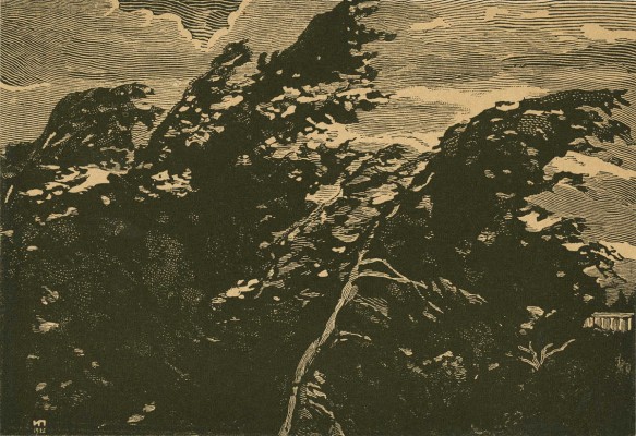 Павлов Иван Николаевич. Лот из 12 линогравюр 1919 г. и фотографии художника в папке: